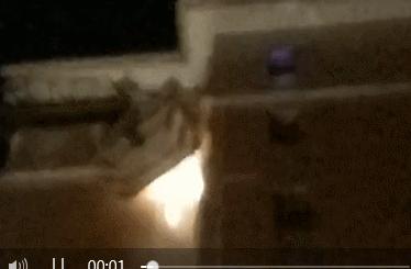 清溪一住宅小区藏了两个“足球窝”，上面爬满了马蜂