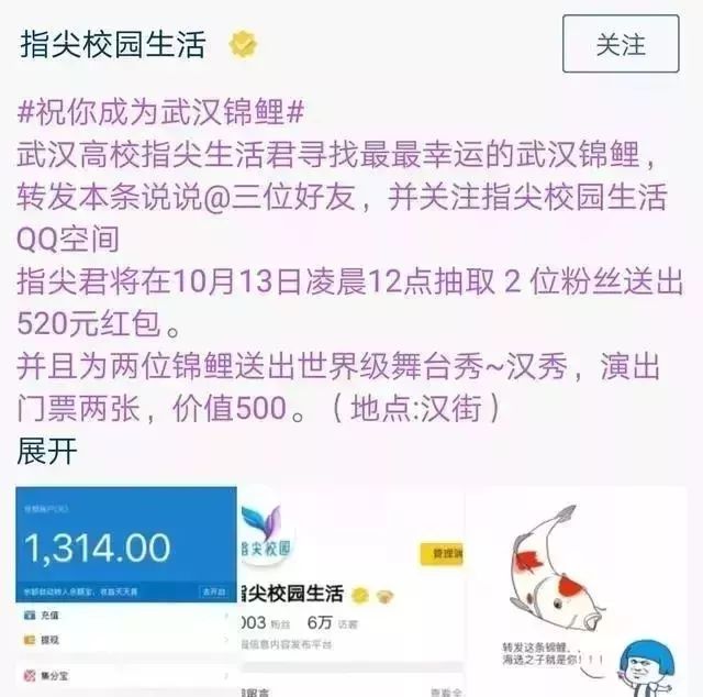 为什么中国锦鲤这么火,锦鲤红包骗人套路