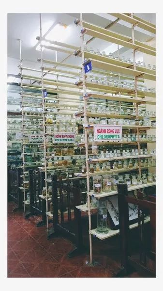 越南芽庄,越美芽庄是什么