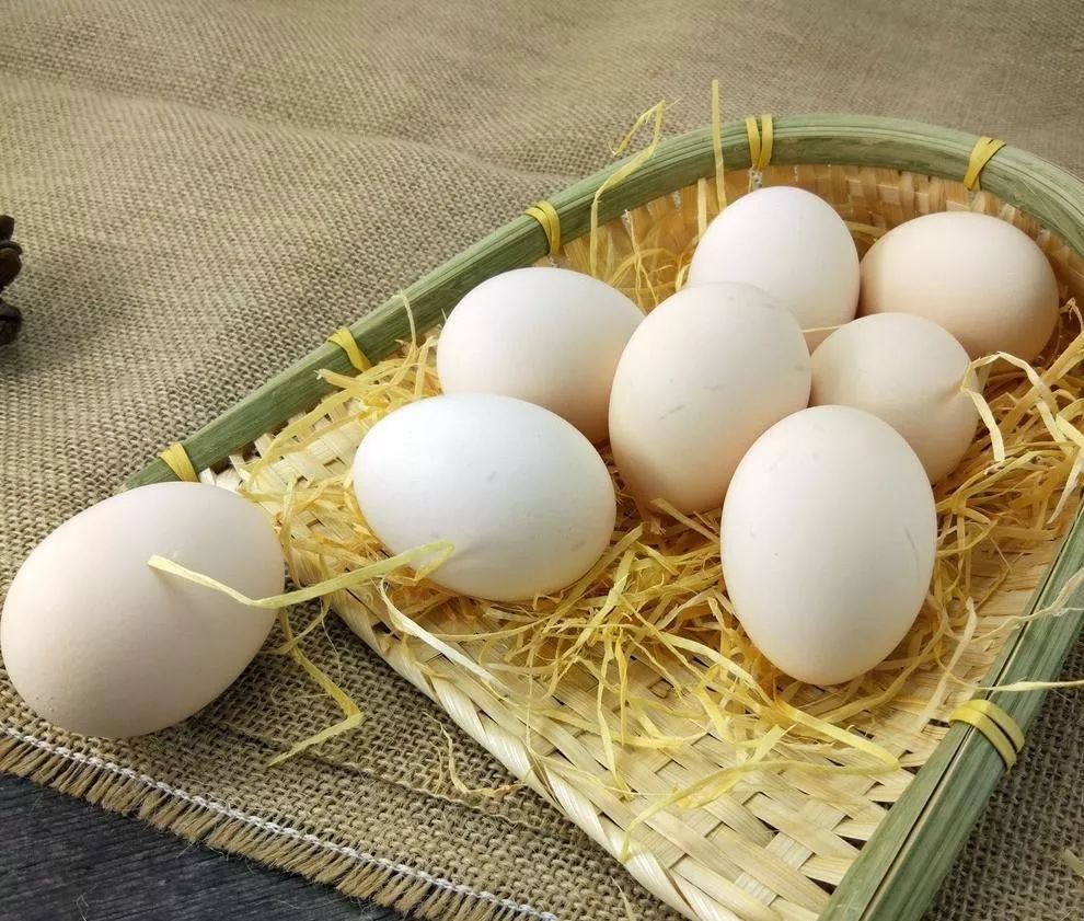 酵素真能抗癌吗,防癌抗癌最好的酵素是