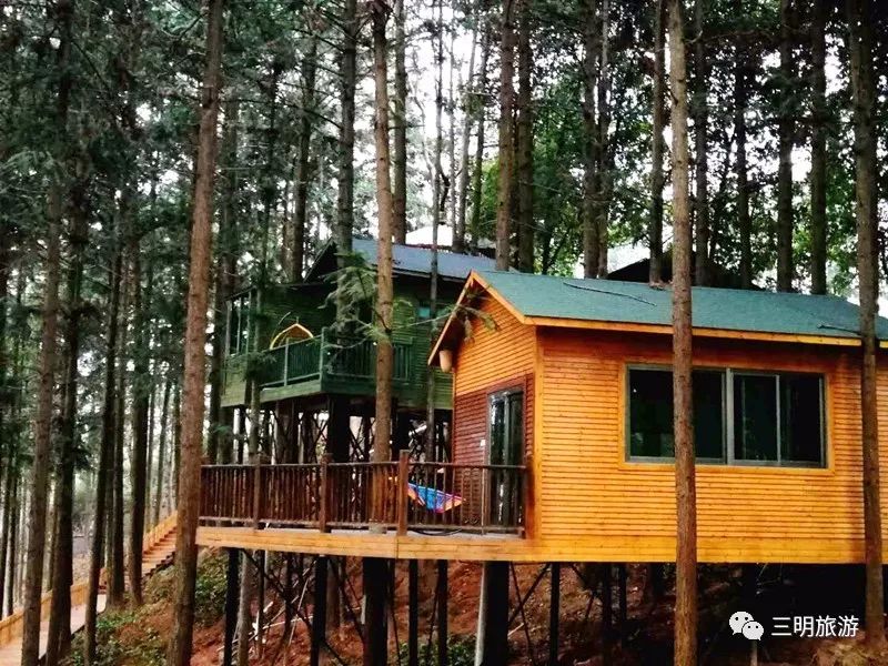 福建树屋酒店推荐,福建特点树屋民宿度假屋特点