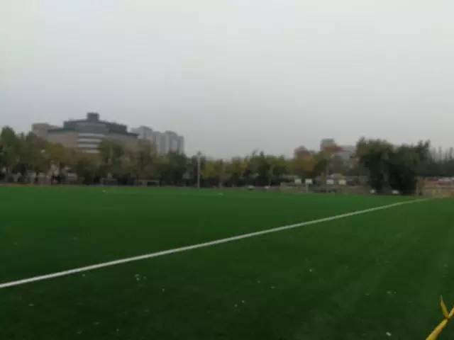 大连足球运动学校足球场地,大连体育新城足球场