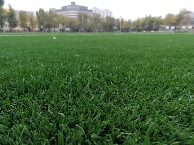 大连足球运动学校足球场地,大连体育新城足球场