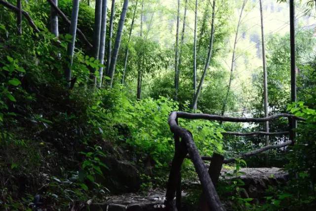 千古奇文醒世养心全文,千古奇文醒世良言