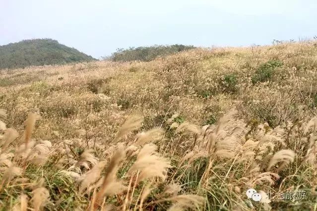 爱爬山的人都爬什么山,爱爬山的山里人完整版