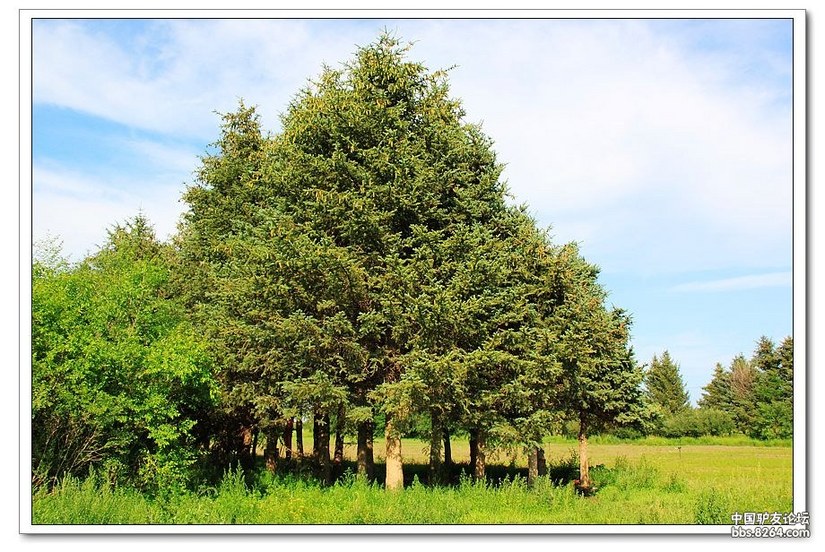 克什克腾白音敖包景区门票,克什克腾白音敖包二道河子景区