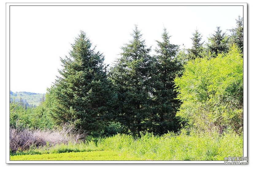 克什克腾白音敖包景区门票,克什克腾白音敖包二道河子景区