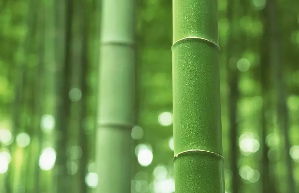 永不臭脚的防滑拖鞋,冬季防滑防臭拖鞋抗菌不臭脚