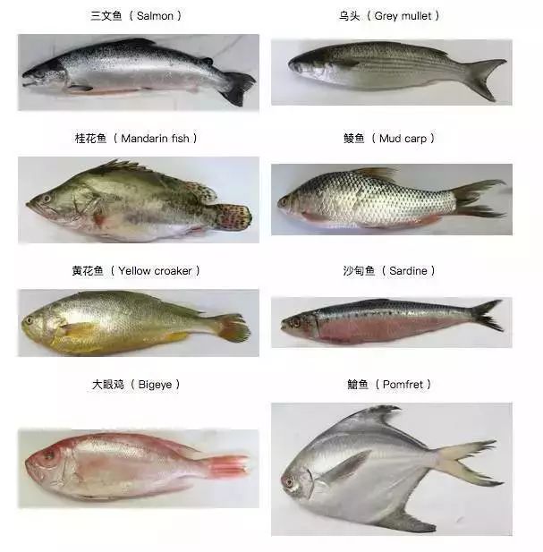 婴幼儿dha怎么补要补多长时间,补钙补铁补维生素还要补dha吗