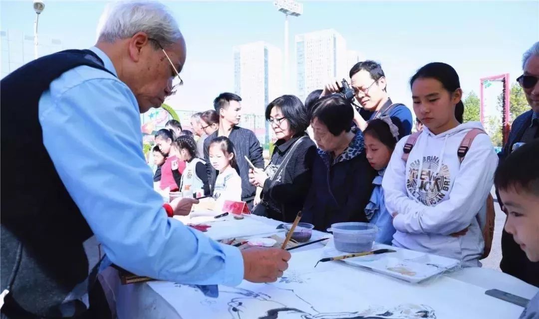 体育中心看展菊,运动公园菊展