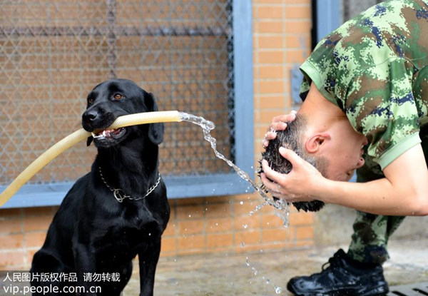 去屑海飞丝为什么越洗越多头屑,去屑洗发水是不是越用头屑越多