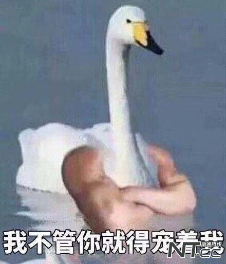 装修师傅们惯用的话术,怎样问装修进度话术