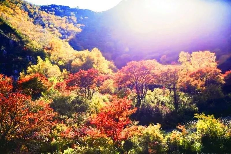 大青山惊艳风景,赤峰克旗大青山秋意浓