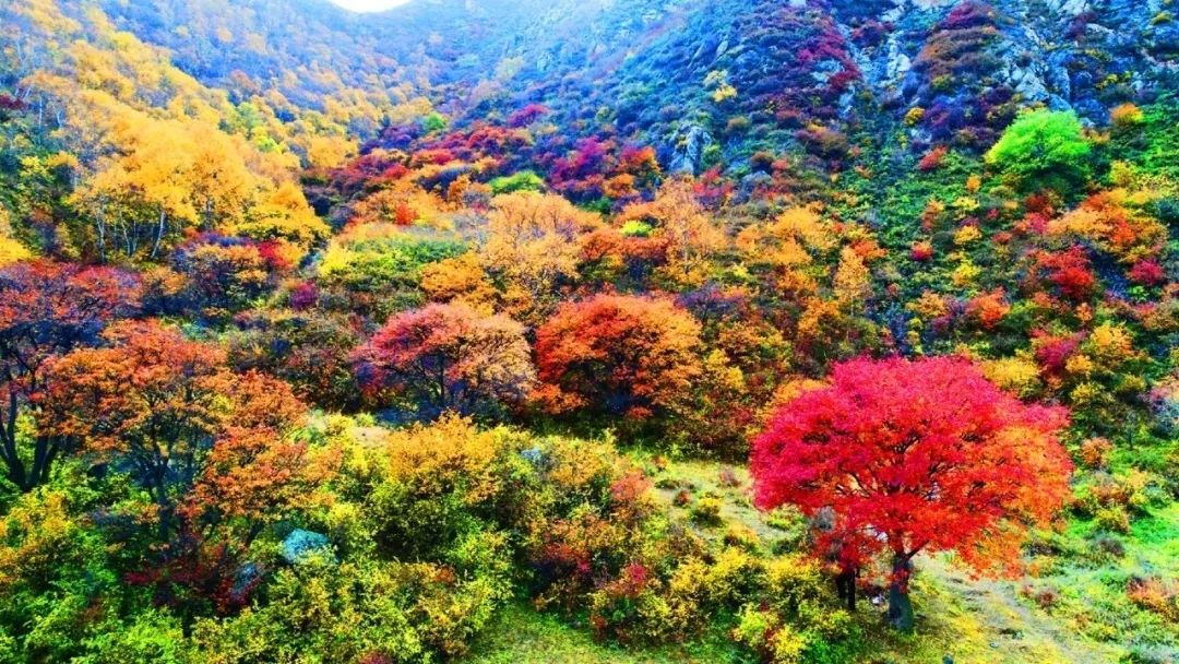 大青山惊艳风景,赤峰克旗大青山秋意浓
