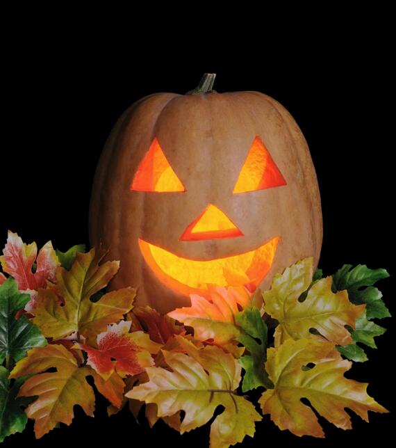 萌瓜万圣趴！餐桌请南瓜当主角，快来安排一下