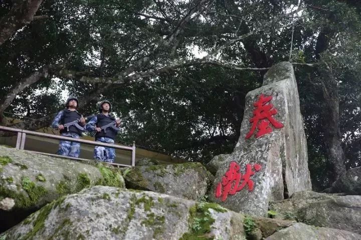 中国最美的篮球场树林,国内最美的十大篮球场