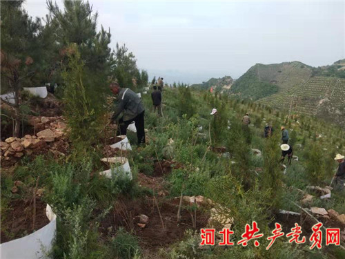 涉县“一旗领三红”系列报道之二：把对*党**的绝对忠诚和为民情怀写在太行山上