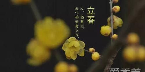 2019年是几月几日立春,2019年农历立春是什么时候