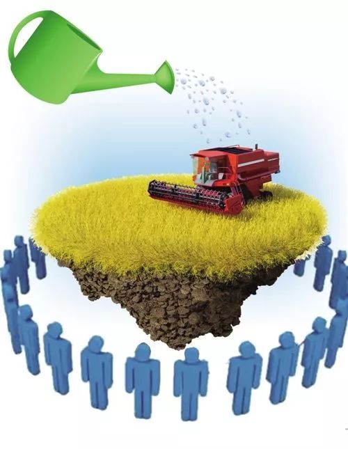 国内外农业众筹发展历程,农业众筹需要注意的事项