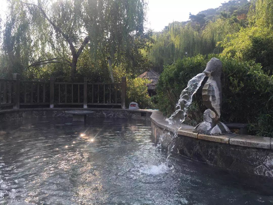 泰山温泉城有什么,泰山温泉城真实事件