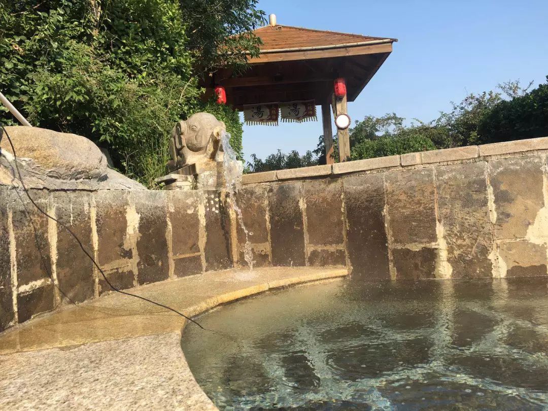 泰山温泉城有什么,泰山温泉城真实事件