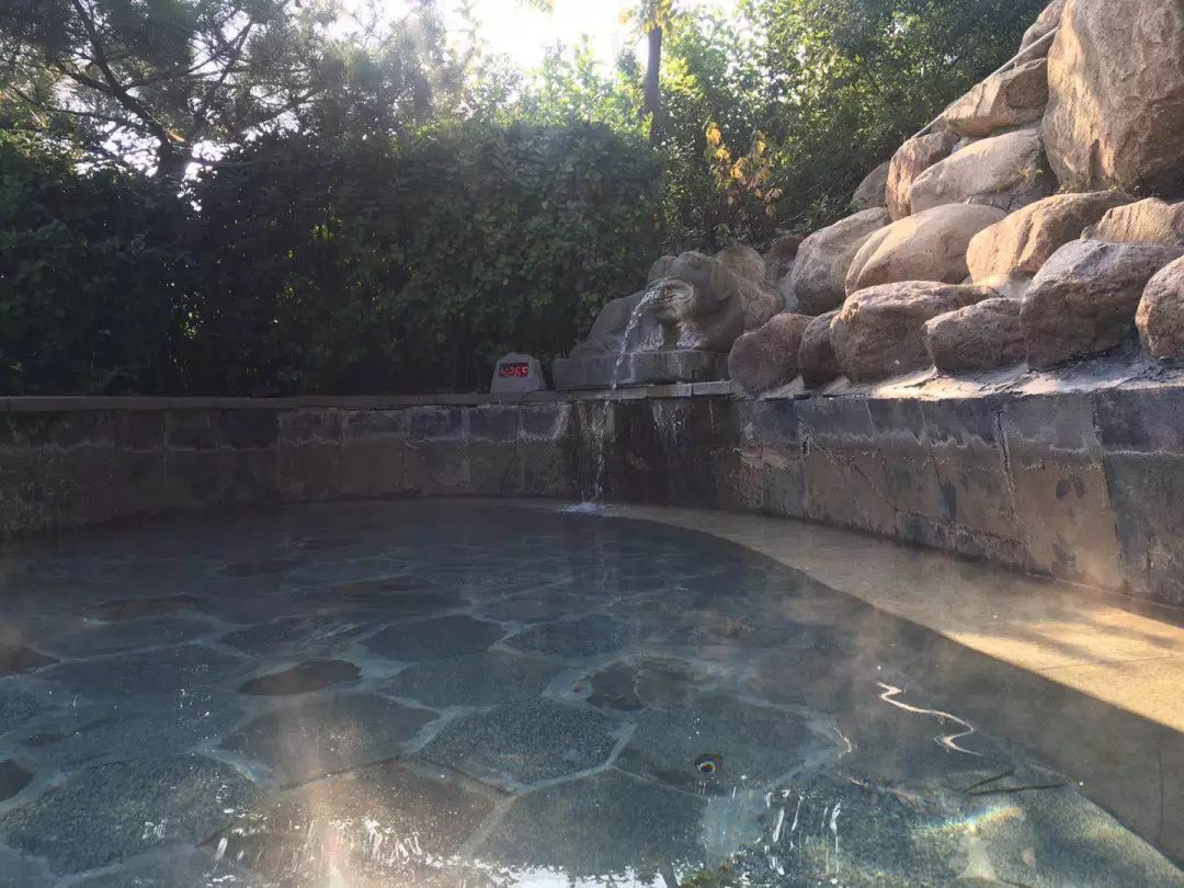 泰山温泉城有什么,泰山温泉城真实事件