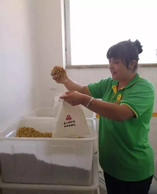 泰山温泉城有什么,泰山温泉城真实事件