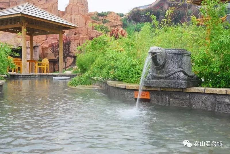 泰山温泉城有什么,泰山温泉城真实事件
