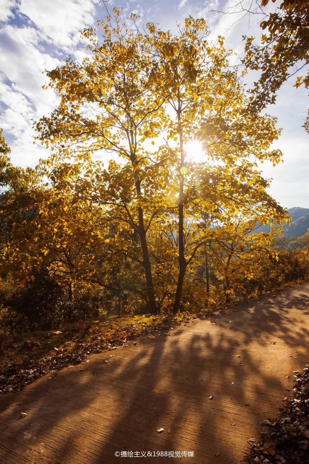 【美文欣赏】武平~我想给你写封信