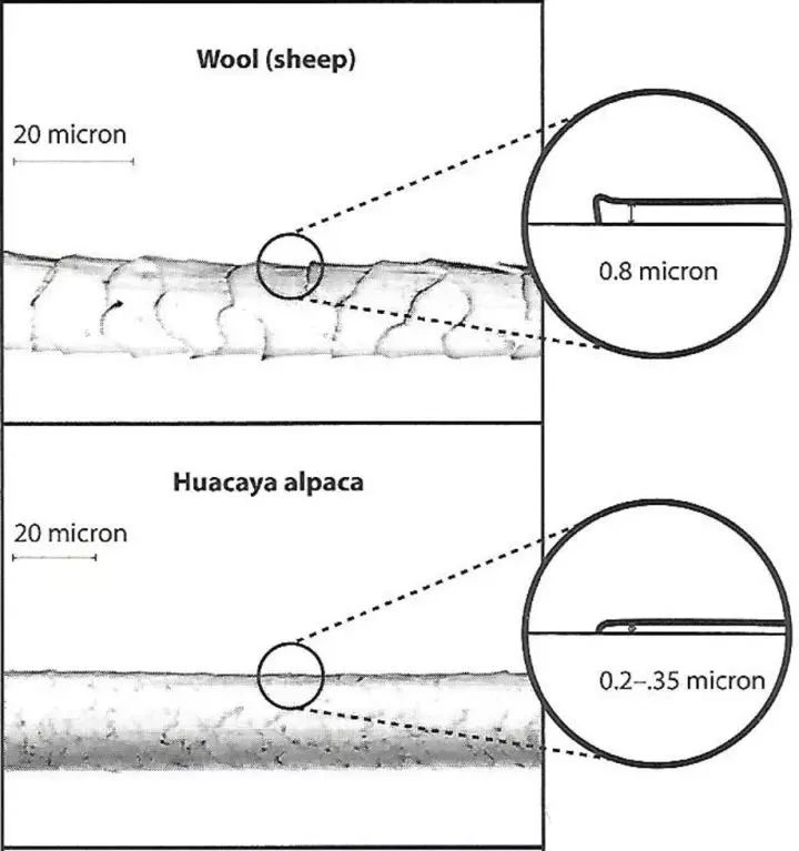 羊驼毛和羊绒哪个高档,一线品牌羊驼毛