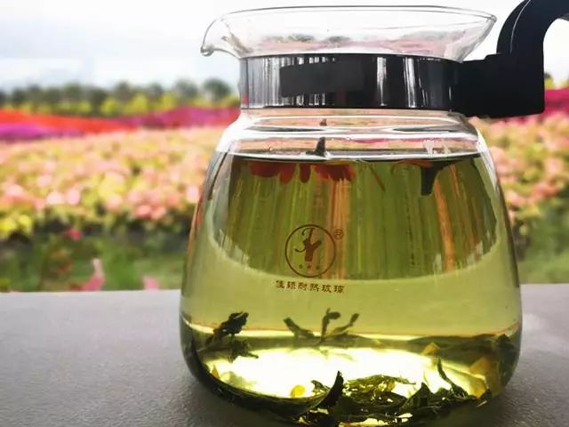 大理云海花海,大理花海漫步