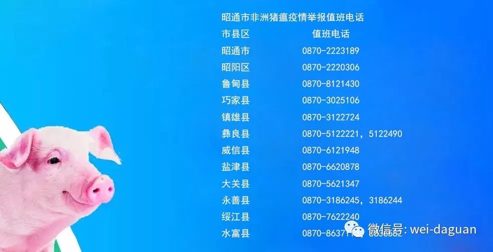 一大堆工作岗位来袭,速看一大批岗位招聘