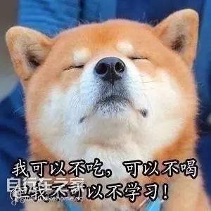 大神，2019山地车技术发展朝哪走？