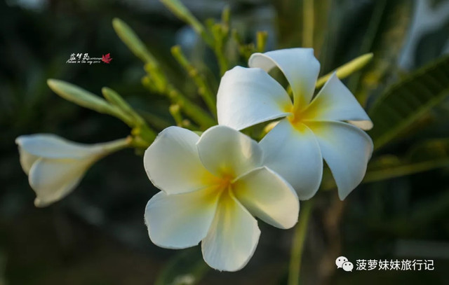 巴厘岛海滩打卡,玩转巴厘岛海边小时光