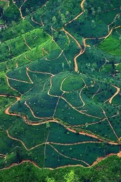 海岛旅游签证流程,海岛签证条件一览表