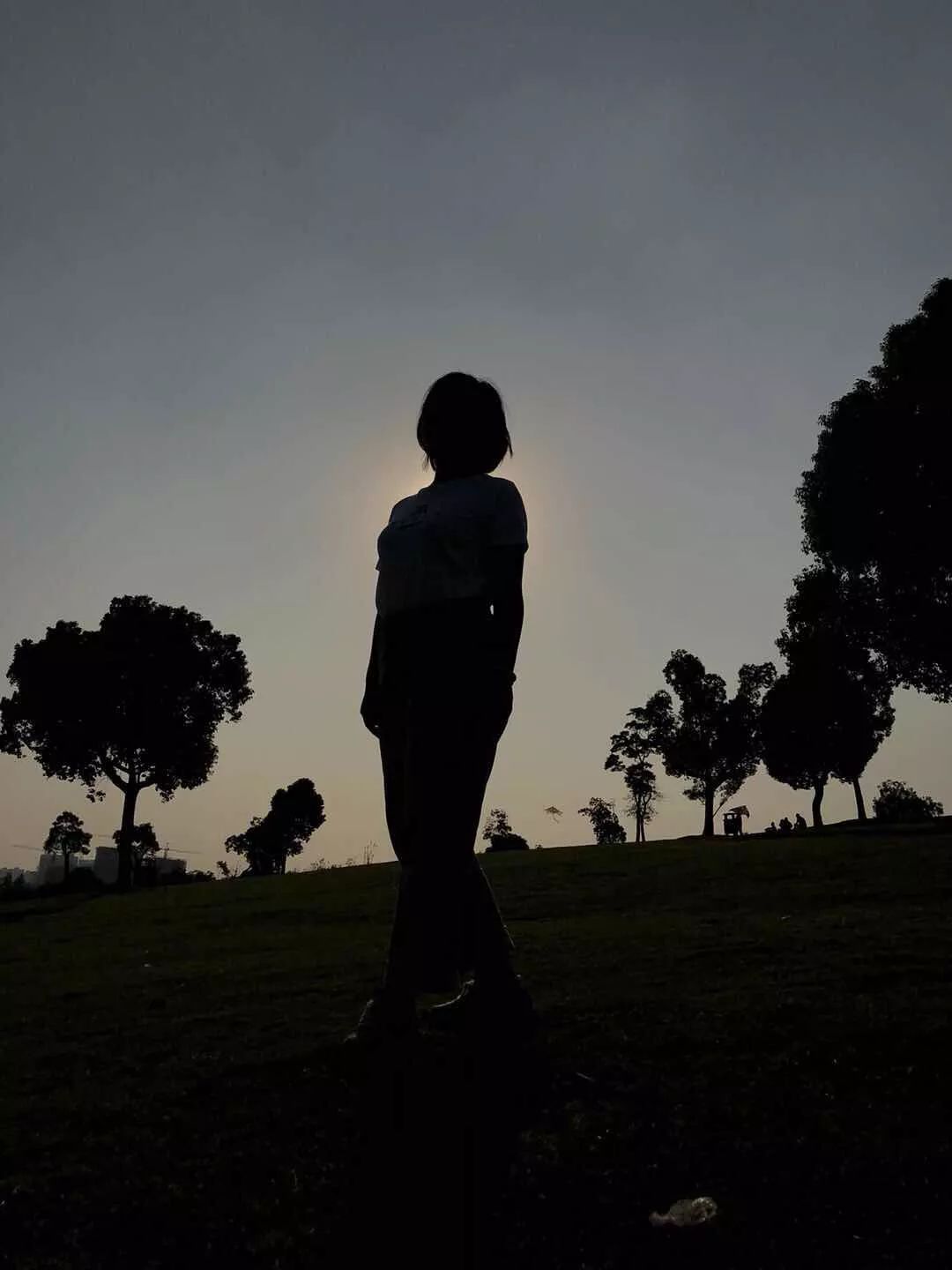 手机拍照审美技巧,手机拍照技巧大师指南