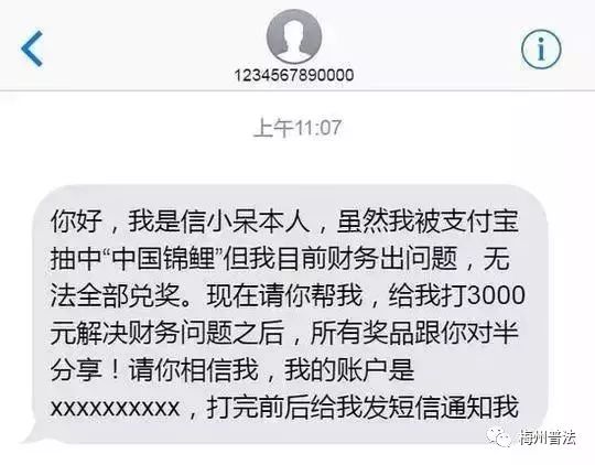 锦鲤套路是真是假,中国锦鲤的套路有哪些呢