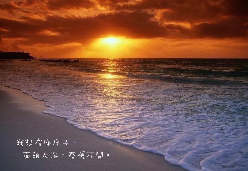 体彩迈开步动出彩,体彩让运动触手可及