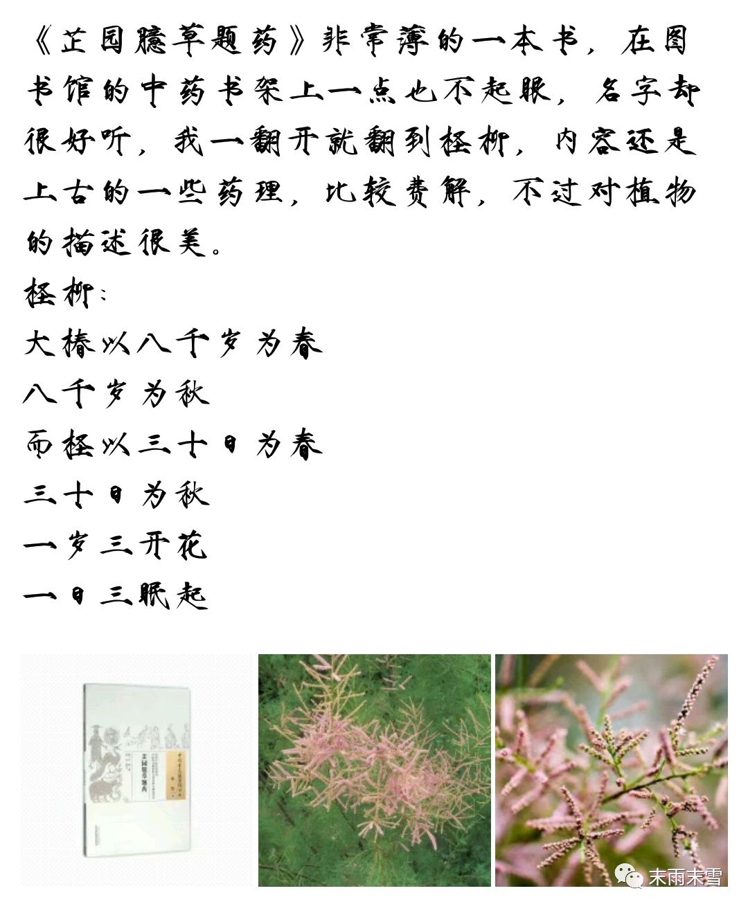 那些绝美的中药,那些你不知道的绝美中药