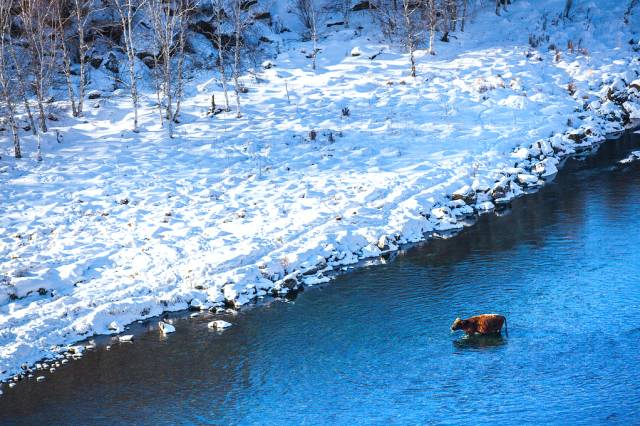 杭州特价机票购买攻略,杭州机票优惠团购