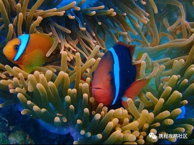 母亲节礼物送妈妈实用有意义50岁,母亲节送对象的妈妈什么礼物好