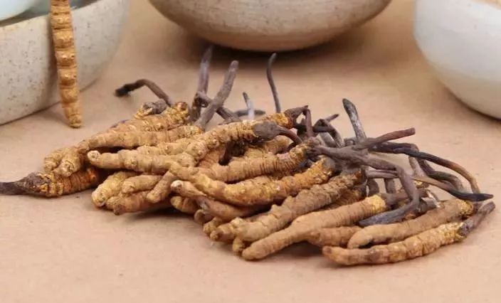 典型案例以及最新诈骗手法变化,常见诈骗案例汇总及防骗小妙招