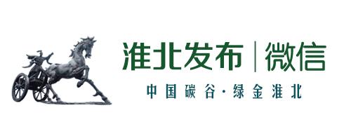 2016全国中小学生棒垒球比赛,2021乐桥镇中心小学棒垒球比赛