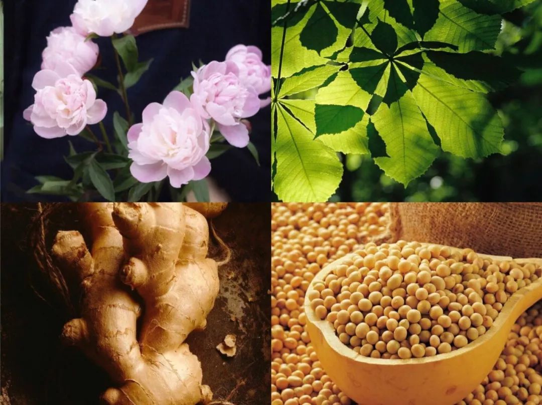 热卖500瓶的面霜专治断崖式变老,超级温和的修护面霜