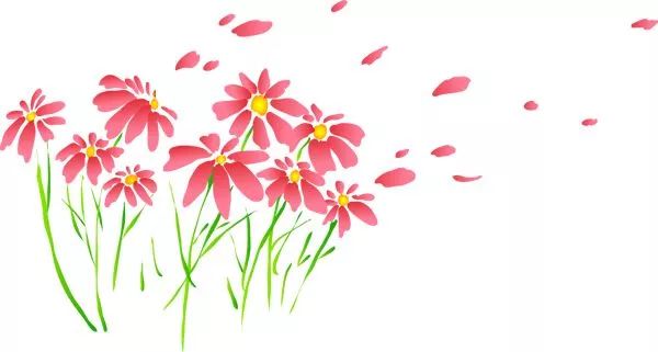 中国女足秦亮简历,足球裁判秦亮敦煌