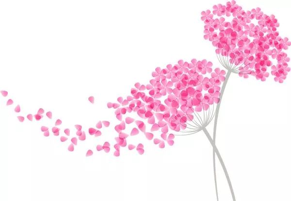 中国女足秦亮简历,足球裁判秦亮敦煌