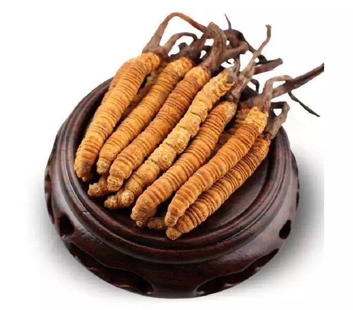 仁和人参虫草燕窝多肽酵素,虫草黑枸杞