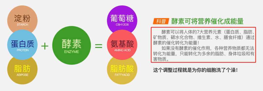 酵素吃了两年感觉没用了,酵素事件澄清