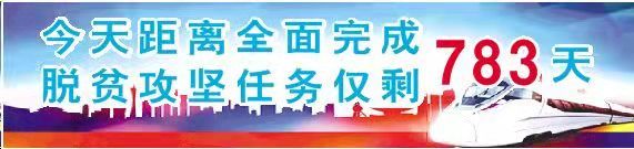 陇南市重点龙头企业,陇南重点企业名单