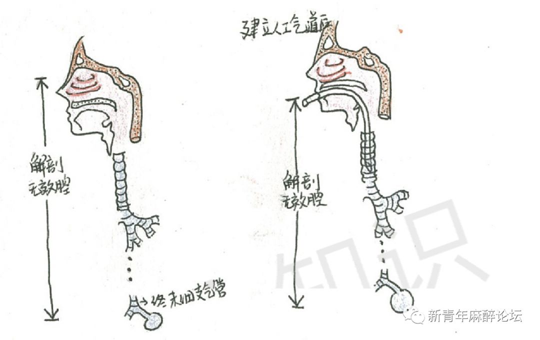 呼吸科普类视频制作,科普人体呼吸机制